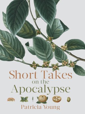 cover image of Short Takes on the Apocalypse